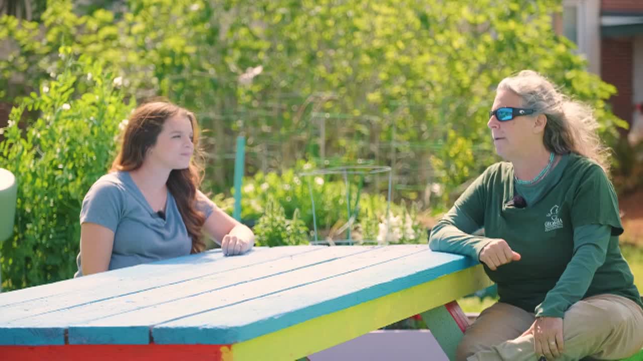 Talkin' Tybee- Local Foods